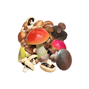 Mushrooms