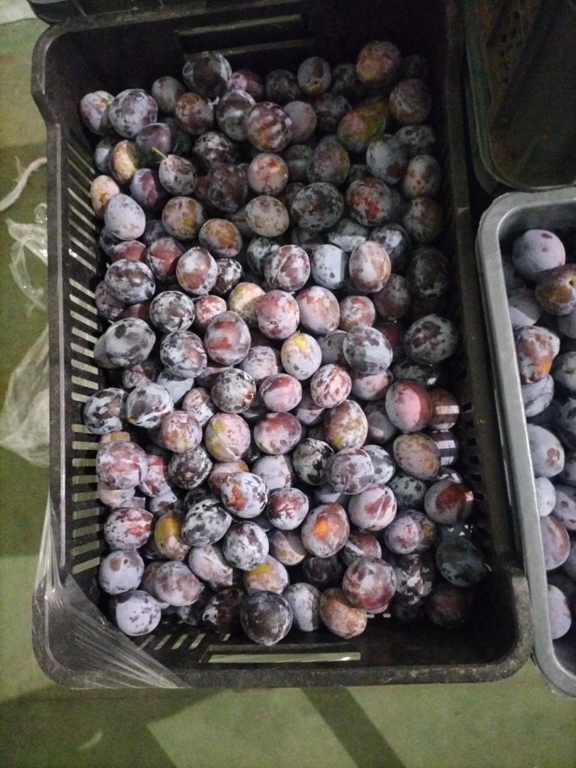 Ciruelas