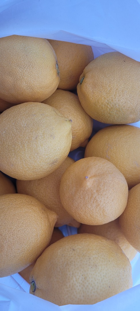 Limones