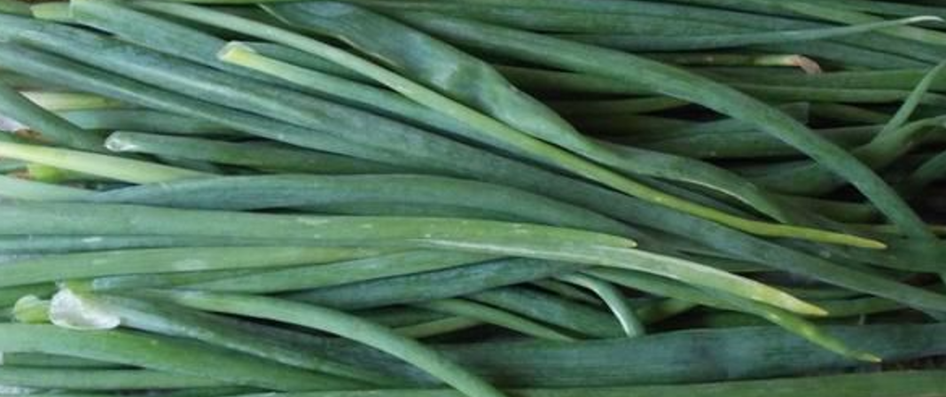 Cebolletas verdes