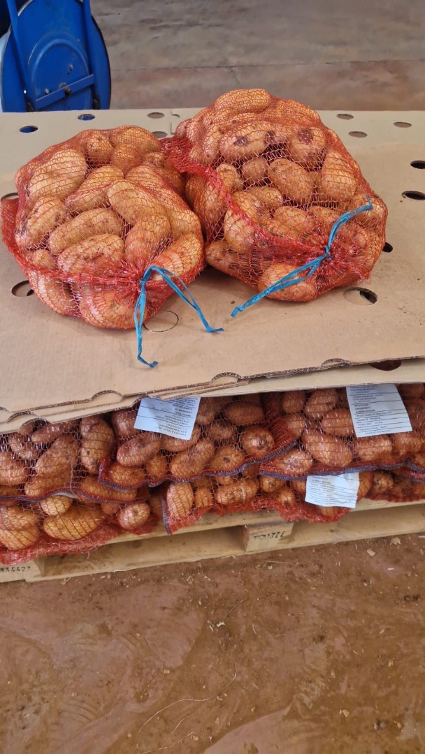 Patatas Spunta | Image 2