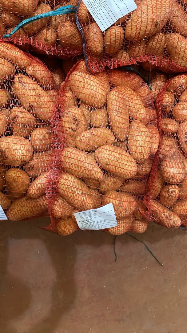 Patatas Spunta | Image 3