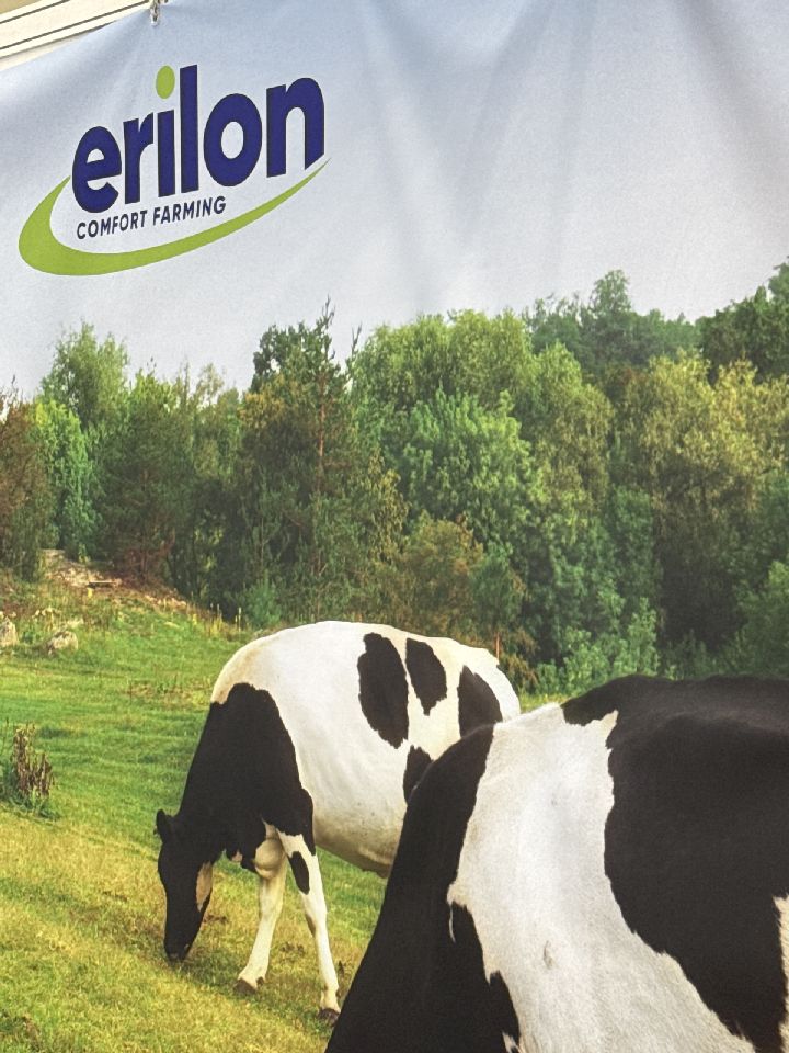 Erilon srl | Imagine 1