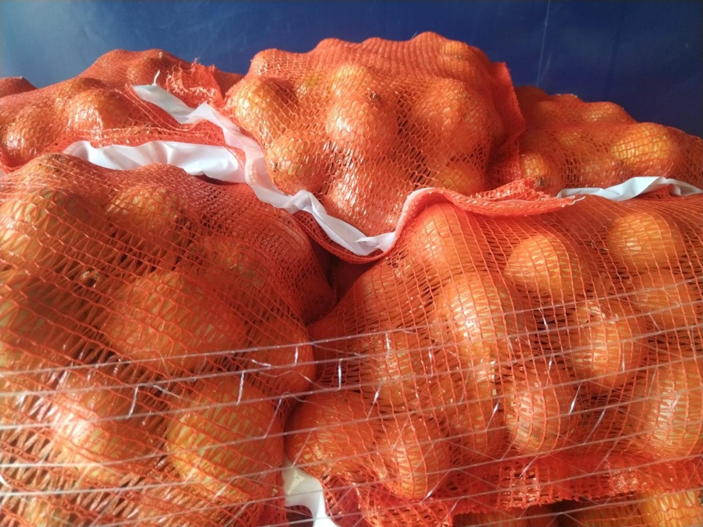 Cebollas | Image 2