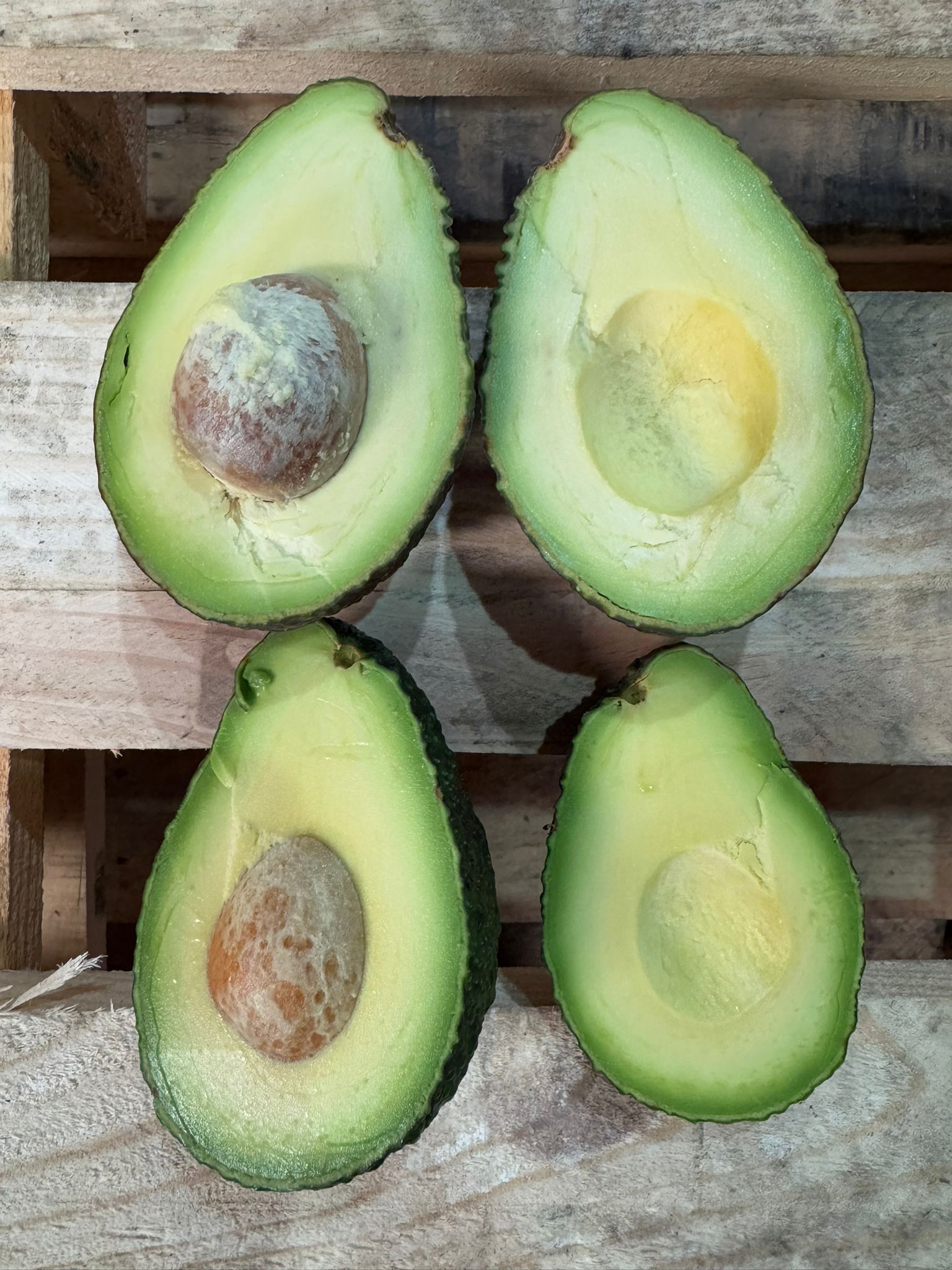aguacate | Image 2